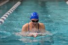 Swimming vs Bentley  Wheaton College Swimming & Diving vs Bentley College. - Photo by Keith Nordstrom : Wheaton, Swimming & Diving